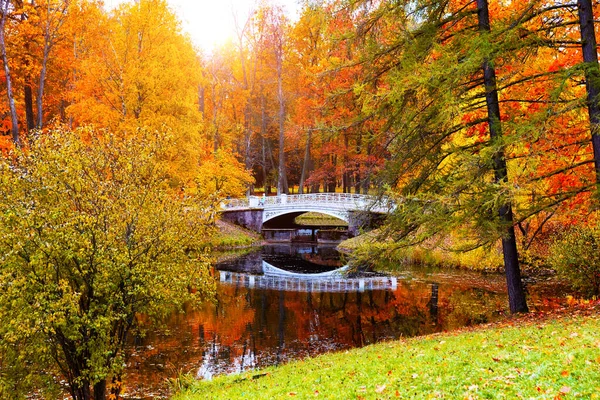 다리와 누렇게 쓰러진 나뭇잎 아름다운 호수가 — 스톡 사진
