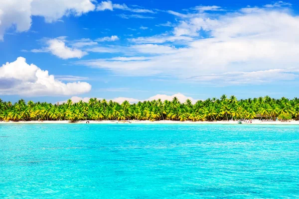 Kokospalmen Weißen Sandstrand Der Insel Saona Dominikanische Republik Urlaub Hintergrundbild Stockbild