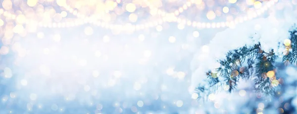 Зимняя Елка Рождественская Сцена Солнечным Светом Ветки Ели Покрытые Снегом — стоковое фото