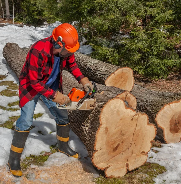 Lumberjack 用他的链锯将树干切成原木 — 图库照片