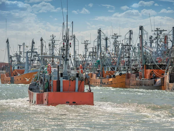 Рибальський Човен Яким Кілька Морських Мартинів Повертаються Додому Порт — стокове фото