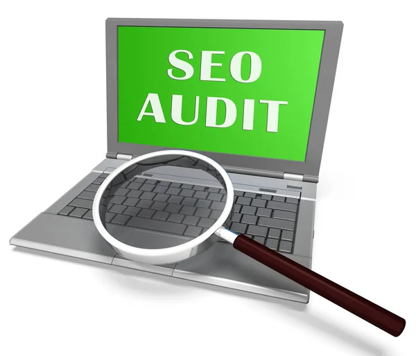 Seo Audit Site Web Classement Évaluation Rendu Spectacles Examen Optimisation — Photo