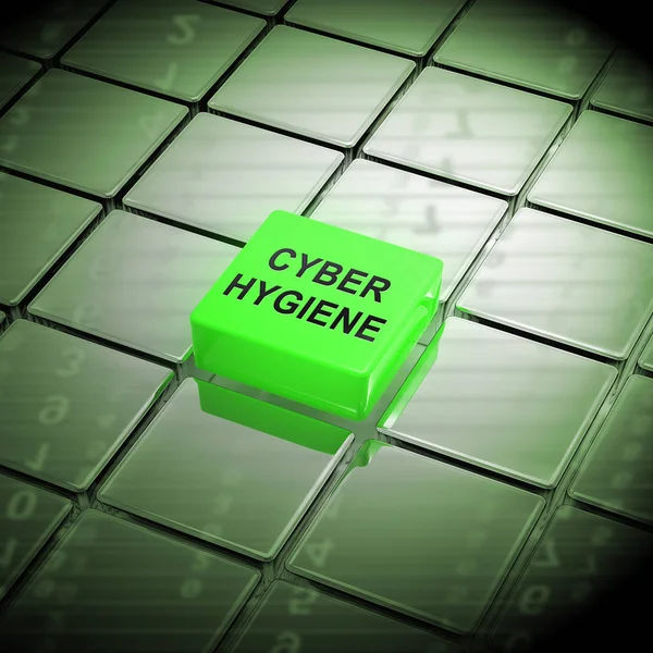 Cyber Hygiëne Gezonde Data Structuur Rendering Shows Internetbeheer Diagnostiek Voor — Stockfoto