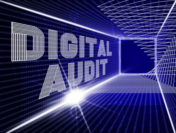 Digital Audit Cyber Network Examination Illustration Shows Analysis Auditor Digital — Stock Photo, Image