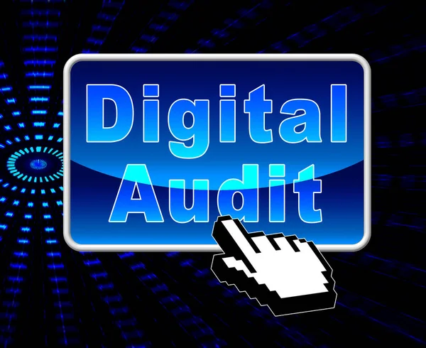 Digital Audit Cyber Network Examination Illustrazione Mostra Analisi Auditor Informazioni — Foto Stock