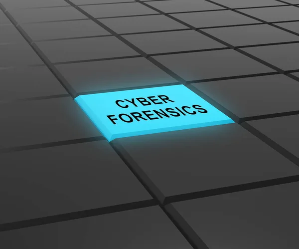 Analisi Del Crimine Informatico Cyber Forensics Rendering Mostra Diagnosi Del — Foto Stock