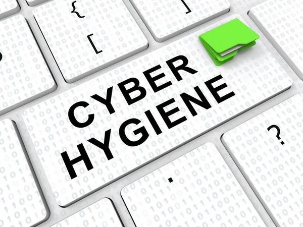 Rendering Della Struttura Sana Dei Dati Cyber Hygiene Mostra Gestione — Foto Stock