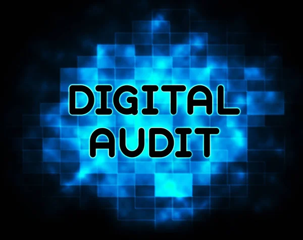Auditoría Digital Cyber Network Examination Illustration Muestra Análisis Por Auditor —  Fotos de Stock