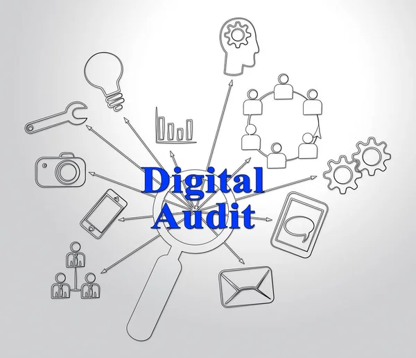 Digital Audit Cyber Network Examination Illustrazione Mostra Analisi Auditor Informazioni — Foto Stock