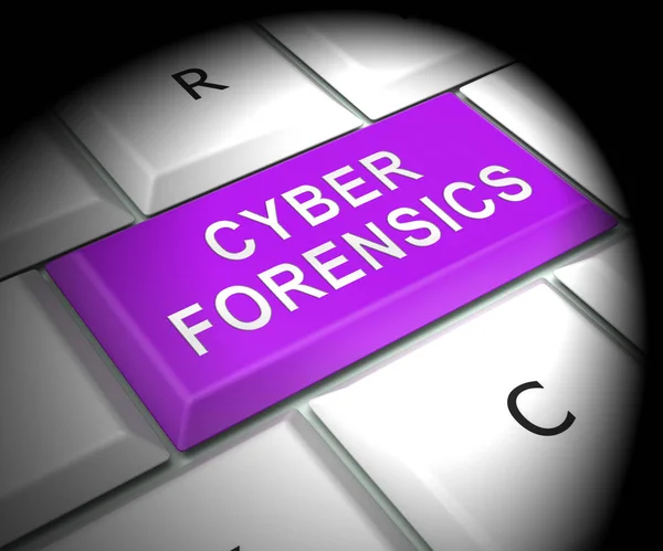 サイバー法医学コンピューター犯罪分析 レンダリング オンライン サイバー犯罪の同定のためインターネット探偵診断を示しています — ストック写真