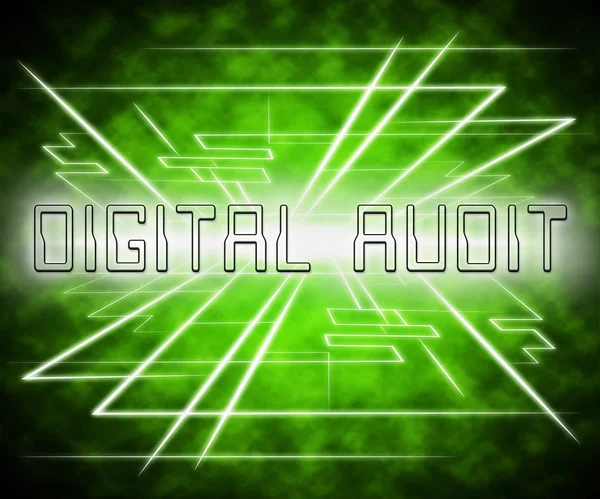 Digital Audit Cyber Network Examination Illustration Shows Analysis Auditor Digital — Stock Photo, Image