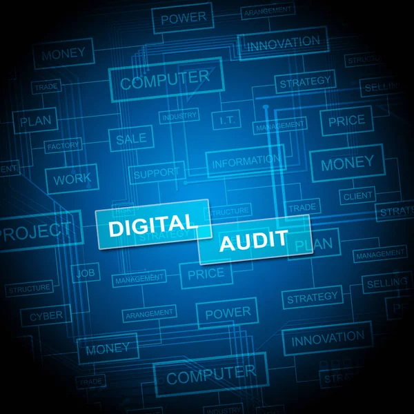 Digital Audit Cyber Network Examination Illustrazione Mostra Analisi Auditor Informazioni — Foto Stock