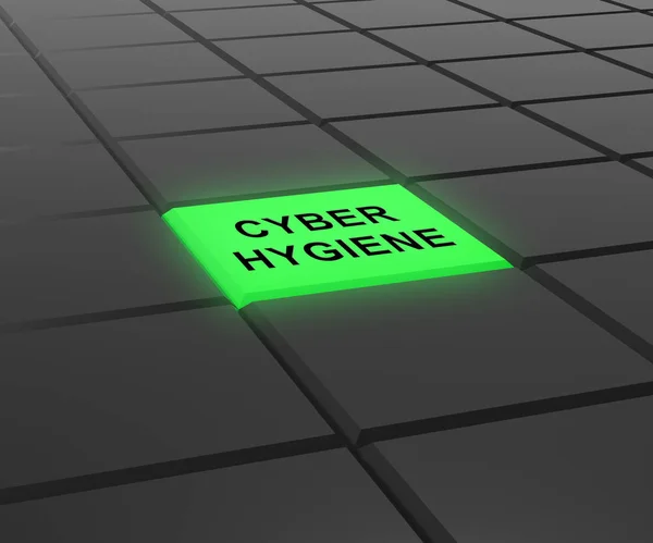 Cyber Hygiene Healthy Data Structure Rendering Shows Internet Management Diagnostics — Stock Photo, Image