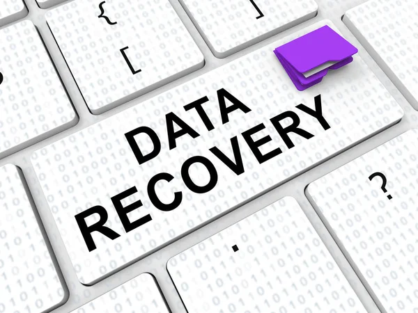 Data Recovery Software Bigdata Restoring Rendering Shows Rebuild Network Server — Stock Photo, Image