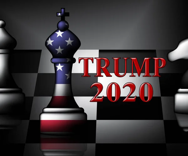 Trump 2020 Republican Candidate Presidential Nomination United States Voting White — Stock Photo, Image