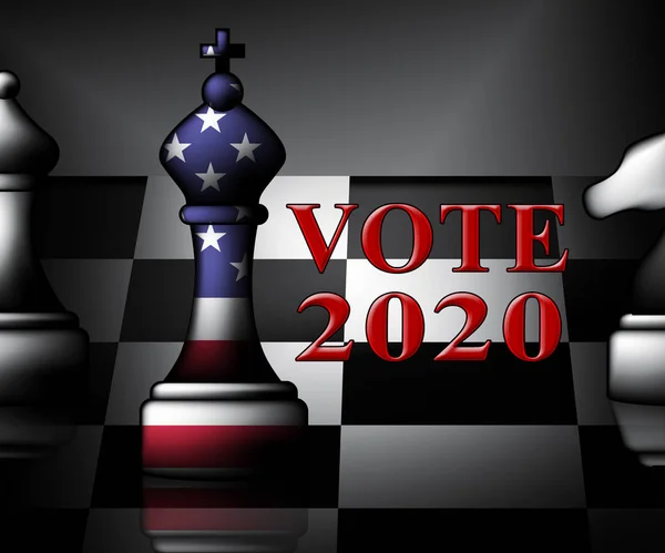 2020 Election Presidential Vote Candidates United States Political Referendum Campaign — Stock Photo, Image