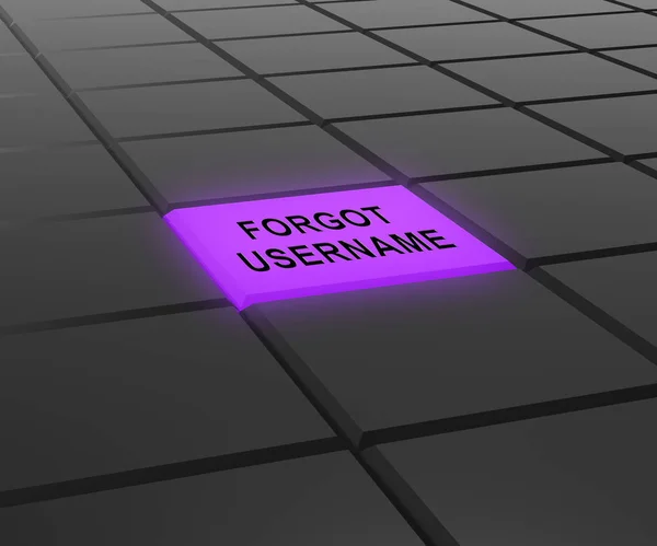 Oublié Username Light Signifie Faux Userid Entered Erreur Sécurité Accès — Photo