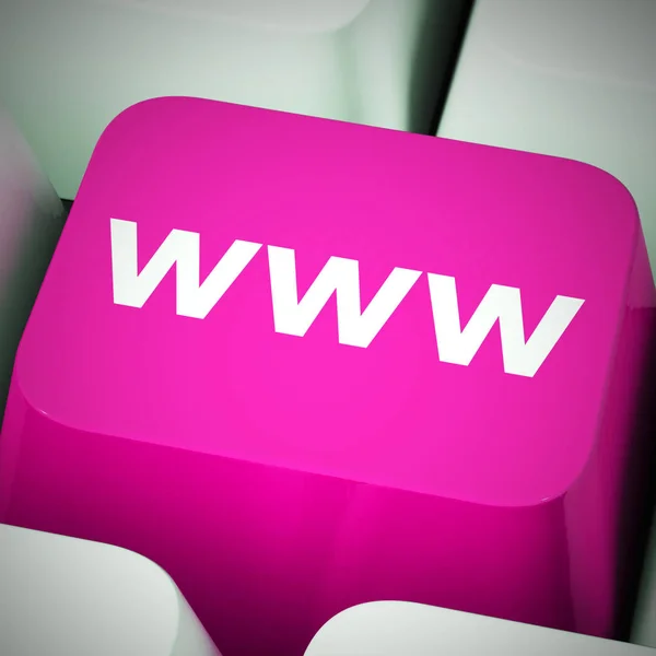 World wide web internet bağlantılı konsept simgesi - 3d illüstrasyon — Stok fotoğraf