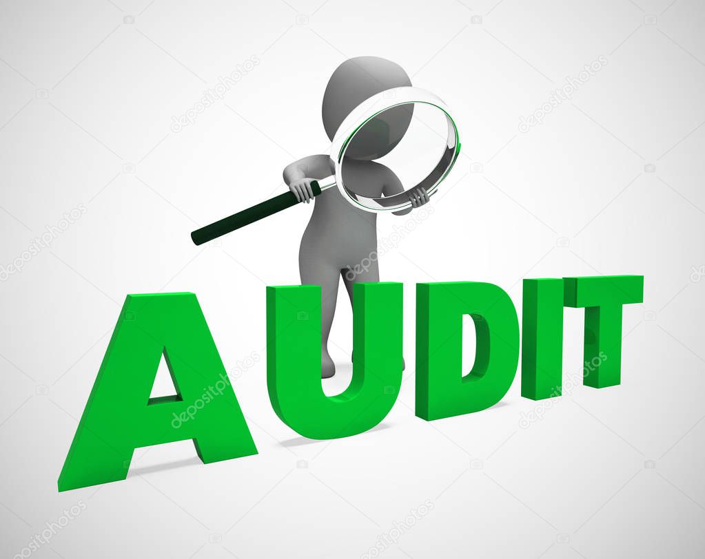 Financial audit concept icon shows taking stock of finances for 