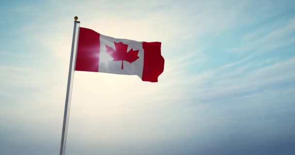 Bandera Canadiense Ondeando Viento Tiene Diseño Hoja Arce Canadá Estandarte — Vídeos de Stock