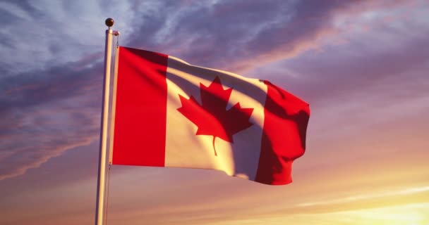 Bandera Canadiense Ondeando Viento Tiene Diseño Hoja Arce Canadá Estandarte — Vídeo de stock