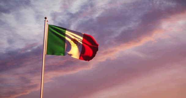 Ondeando Bandera Mexicana Celebración Nacional Ciudad México Estados Unidos Mexicanos — Vídeo de stock