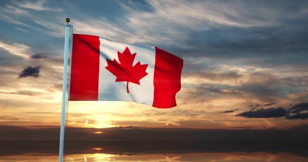 Canadian Flag Waving Wind Has Canada Maple Leaf Design Banner — Stock Video