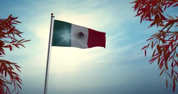 Κυματιστή Σημαία Μεξικού Στην Πόλη Του Μεξικού Εθνική Εορτασμός 30Fps — Αρχείο Βίντεο