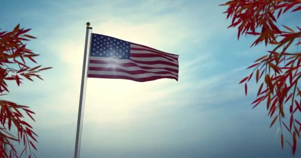 Bandera Ondeando Los Estados Unidos América Muestra Independencia Patriotismo Nacional — Vídeos de Stock