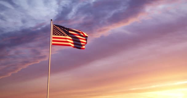 Σημαία Usa Που Φέρουν Στις Ηνωμένες Πολιτείες Της Αμερικής Δείχνει — Αρχείο Βίντεο