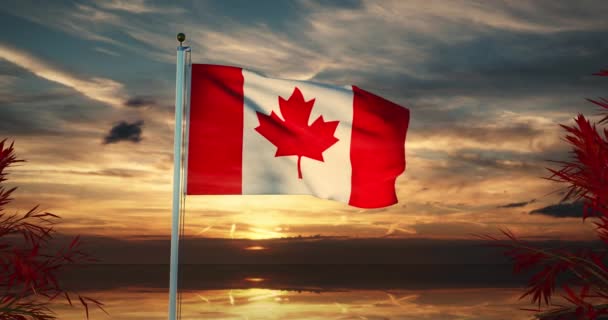 바람에 나부끼는 캐나다 국기는 캐나다 단풍잎 디자인을 가지고 애국심의 현수막 — 비디오