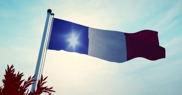 Bandiera Francese Che Sventola Bandiera Tricolore Francese Che Sventola Paese — Video Stock