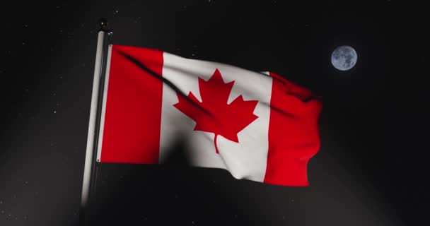 바람에 나부끼는 캐나다 국기는 캐나다 단풍잎 디자인을 가지고 애국심의 현수막 — 비디오