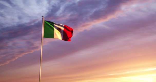 Bandeira Mexicana Acenando Celebração Nacional Cidade México 30Fps Filmagem — Vídeo de Stock