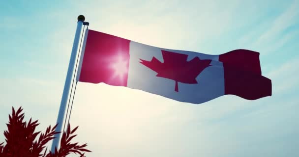風に揺れるカナダの旗はカナダのカエデの葉のデザインを持っています 愛国心の旗やエンブレム 30Fps Video — ストック動画