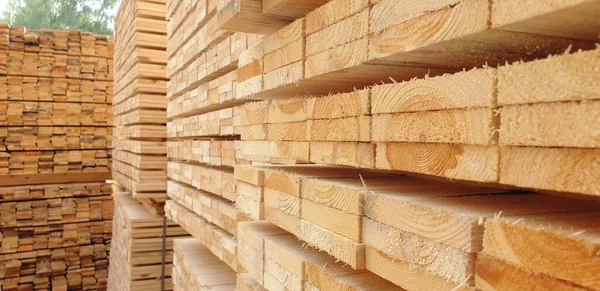 Frische Holzplatten Holzlager — Stockfoto