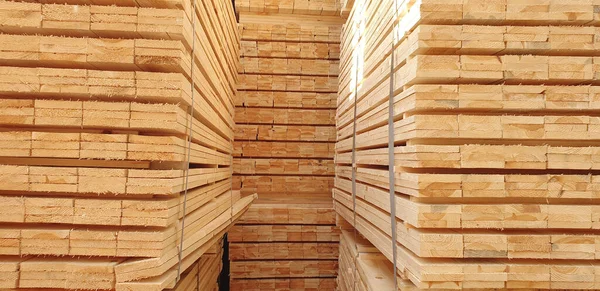 Trockene Holzspikes Holzlager — Stockfoto