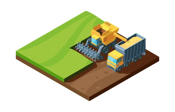 Colheita ilustração isométrica. Combine colheitadeira vibrante e máquina agrícola coletar trigo no campo, conceito fazenda agricultura natural. Vetor agrícola indústria dos desenhos animados . — Vetor de Stock