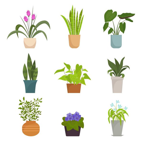 Inicio plantas en macetas conjunto. Colección de colores flores de interior brillantes pétalos púrpura hojas redondas verdes brotes rosados alargados con flechas símbolo decoración botánica decorativa. Flora plana vectorial . — Vector de stock