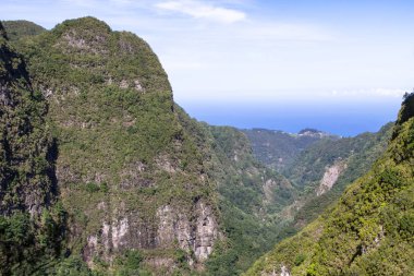 Dağ yağmur ormanları, Levada Caldeirao Verde, Madeira, Portekiz manzaralı