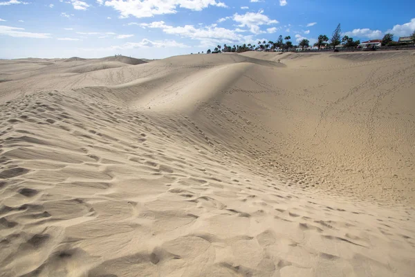 African European Sand Dune Desert Maspalomas Gran Canaria Spain — Stock Photo, Image