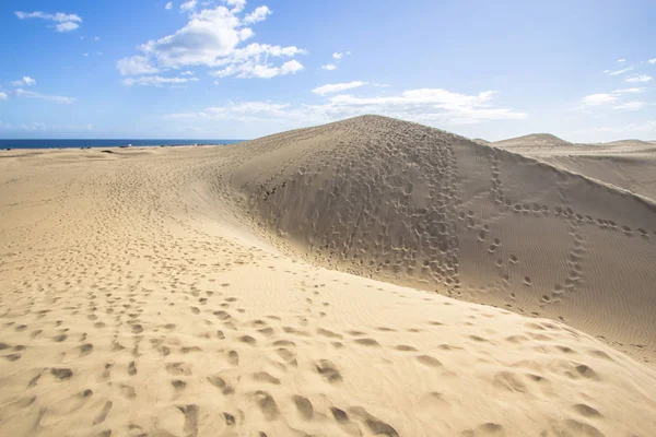 Αφρικανική Ευρωπαϊκό Αμμόλοφο Έρημο Μασπαλόμας Γκραν Κανάρια Ισπανία — Φωτογραφία Αρχείου