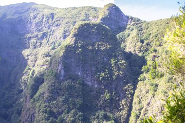 Dağ yağmur ormanları, Levada Caldeirao Verde, Madeira, Portekiz manzaralı