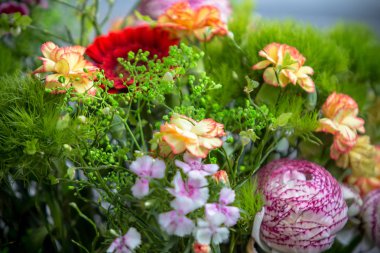 Renkli çiçek buketi. Yaklaş.