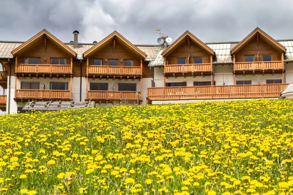 Hotel Traditional Alpine Style Dandelions Field Foreground — Stock Photo, Image