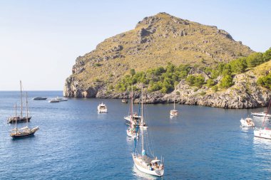 Güzel defne Sa Calobra Mallorca balearic Islands, İspanya