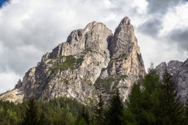 Rocky mount Alpleri'nde çam ormanları ile çevrili görünümü Kapat