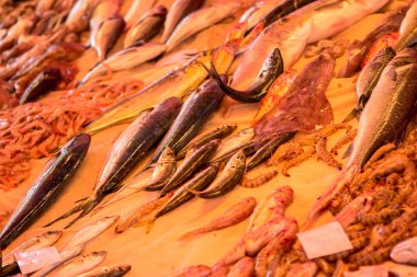 Catania, İtalya'nın balık pazarında renkli deniz ürünleri dolu Kasalar