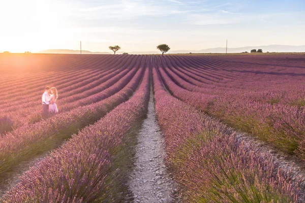 Big Lavender Field Sunset Provence France — Stock Photo, Image