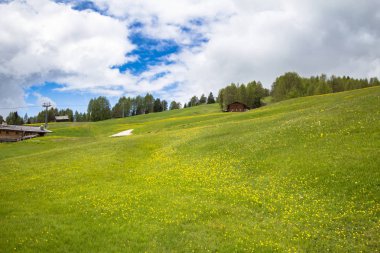 Dandelions ve arka planda Alp Köyü